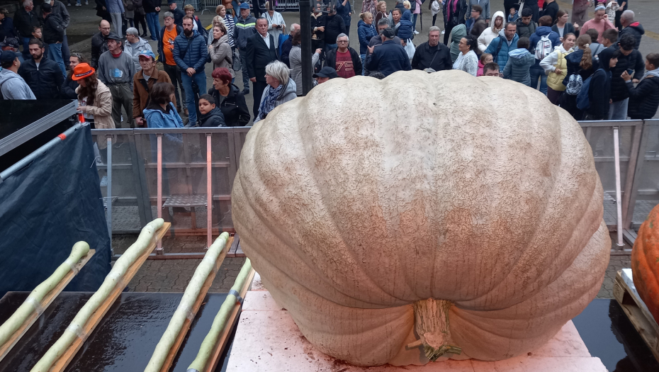 TRADICIONALNA MANIFESTACIJA U KIKINDI „Dani ludaje“ od 19. do 22. septembra