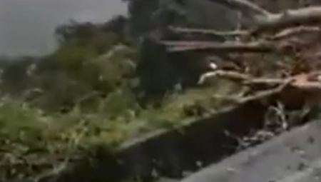 JEZIVO! SURVALI SE NIZ LITICU DUBOKU 75 METARA Najmanje devet poginulih u stravičnoj nesreći u Kostariki (VIDEO)