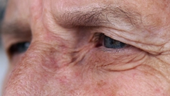 MUŠICE I DUVANSKI DIM Ako imate ove simptome odmah se javite lekaru!