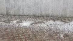 ZABELELO SE U NOVOM SADU! Jak grad praćen pljuskovima pogodio Pazovu i okolinu (FOTO/VIDEO)