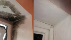 IZAZIVA ASTMU, BRONHITIS, TUBERKOLOZU Poprskajte zid ovim uljem i više nikada nećete videti buđ u vašem domu