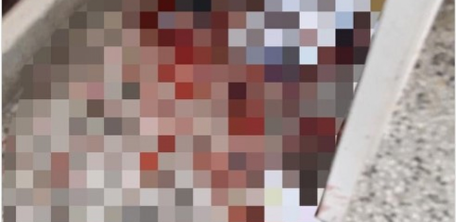 HOROR U NAJAVI: Tinejdžer (15) s Karaburme namamio, pa raskomadao golubove i postavio pred ulazna vrata