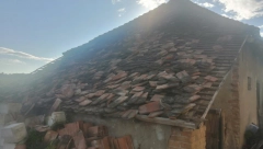 PIJAVICA NOSILA BETONSKE STUBOVE! Meštani ovog dela Srbije proživeli apokalipsu, višegodišnja stabla počupana! (FOTO)