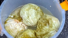 UKISELITE KUPUS ZA SAMO 48 SATI Ne postoji lakši način, a brži način