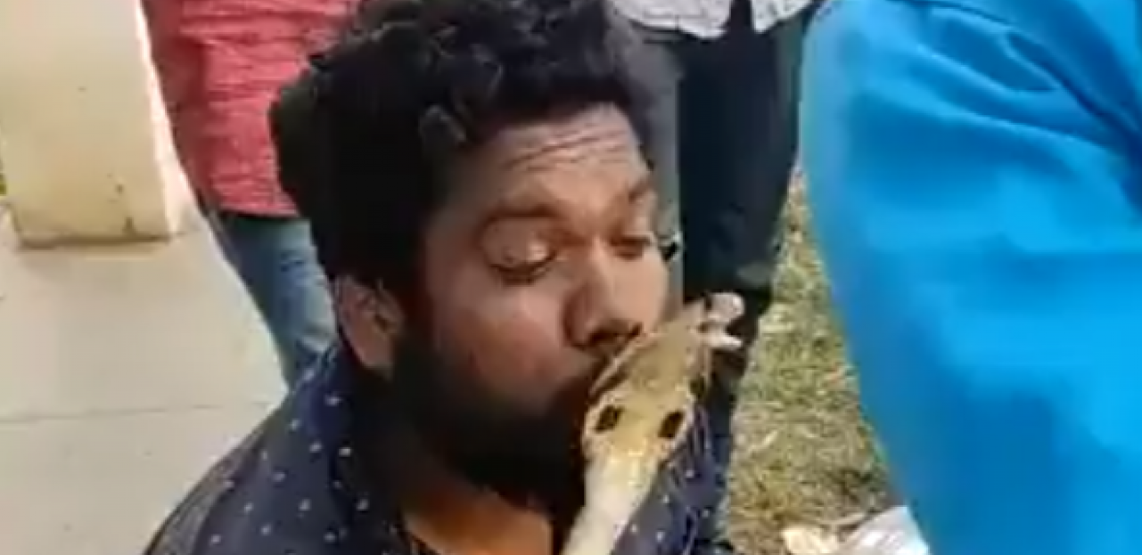 OVAJ POLJUBAC NIJE MU TREBAO!  Indijac načinio pogrešan korak, usledio munjevit napad kobre (VIDEO)