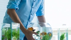 INTERNET VAM JE SPOR? Možda je kriv akvarijum, ali ima još predmeta u kući koji ga ometaju