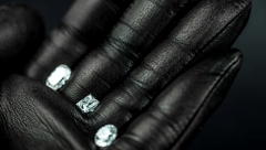 ZAHVALJUJUĆI NAGODBI TUŽILAŠTVA I ADVOKATA Pronađeni dijamanti iz velike pljačke u Drezdenu