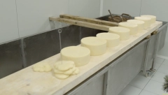 DEMANTI U tekstu o pirotskim kačkavaljima došlo do zabune