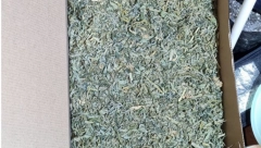 MAKEDONAC UHAPŠEN SA PAKETIMA HEROINA I MARIHUANE Policija u Jagodini pronašla opojne droge u automobilu