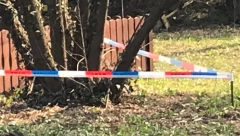 NAJOPASNIJA ŽIVOTINJA NA SVETU PONOVO NAPALA! Masakr u vodi! Najmanje petoro mrtvih!