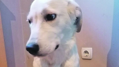 UDOMI ME Zara ljubav stvara