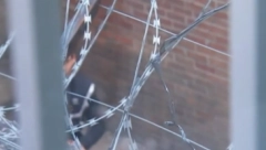 VATROGASAC, BANANA, TOCILO, BUDALA... Najčudniji nadimci srpskih kriminalaca, a ovako su ih dobili