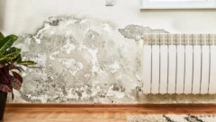 Rešite se vlage i buđi očas posla: Tajna je samo u 1 namirnici, a svi se kunu da je najefikasniji upijač vode