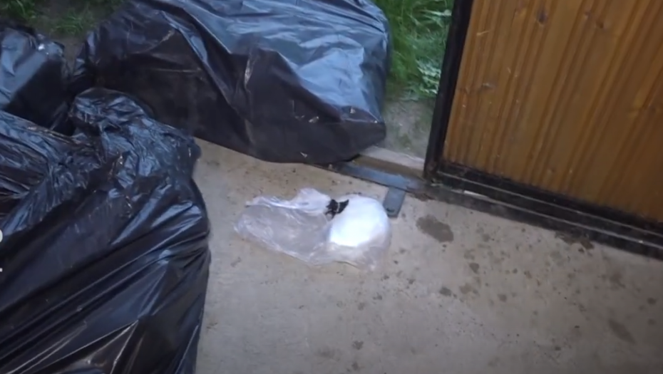 "LEZI DOLE, LEZI DOLE, BRE!" Žestoka akcija policije u Srbiji, specijalci ih uhvatili na spavanju! (VIDEO)