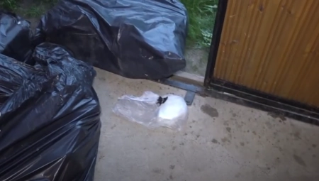 "LEZI DOLE, LEZI DOLE, BRE!" Žestoka akcija policije u Srbiji, specijalci ih uhvatili na spavanju! (VIDEO)