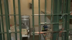 OTIMALI NAKIT I HRANU Maloletnike vodio u krađe, sada mu preti dve godine robije