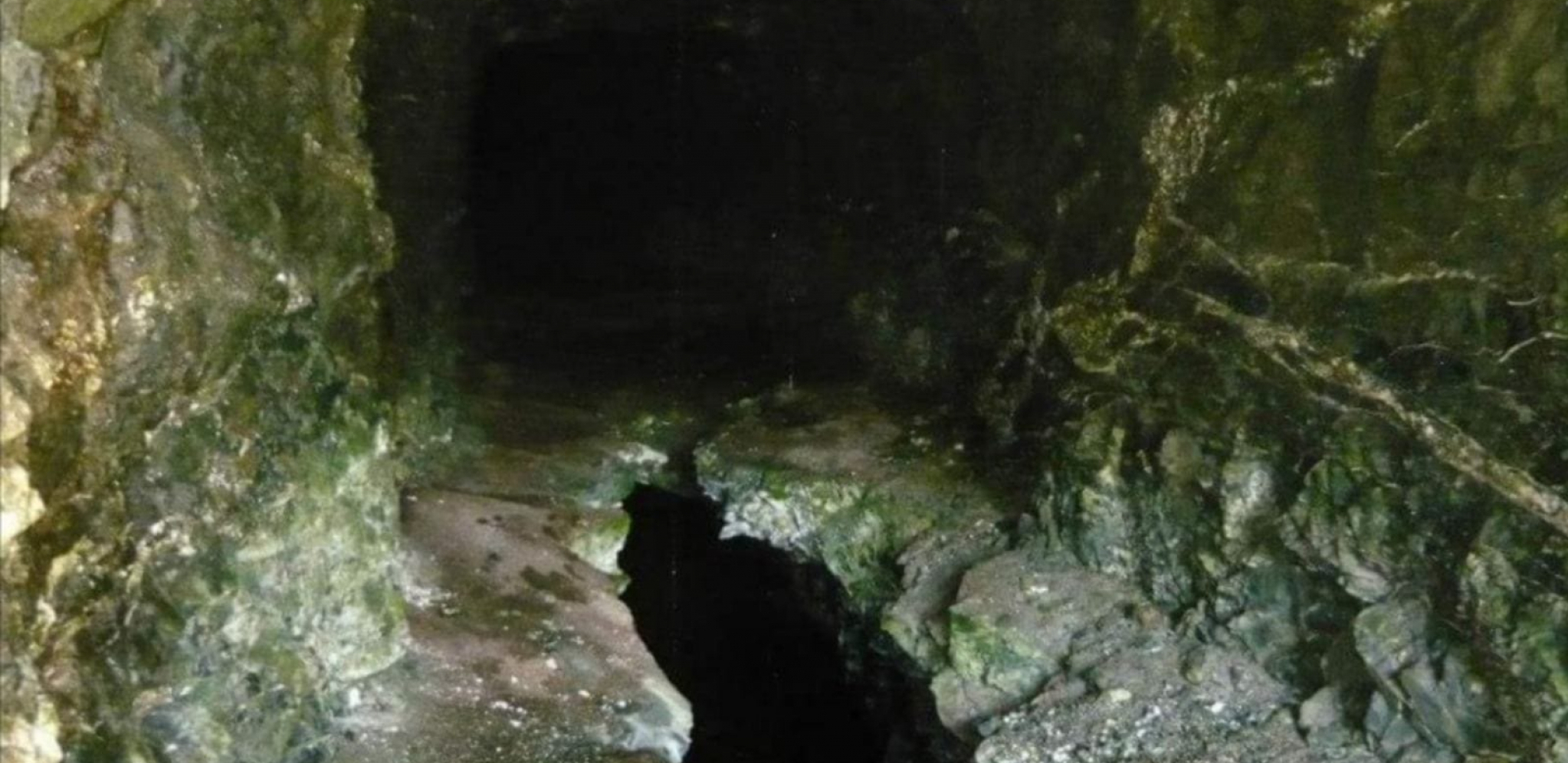 SPREMALI FILMSKO BEKSTVO IZ ZATVORA Planirali da iskopaju tunele do magacina sa hranom