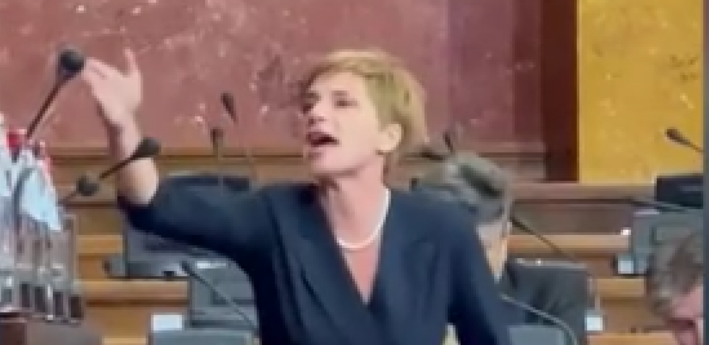 POSLANICA DS POČELA DA URLA NA POSLANIKE Dragana Rakić doživela nervni slom (VIDEO)