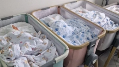 DANAS Počinje prijava za vantelesnu oplodnju sa uvezenim reproduktivnim materijalom