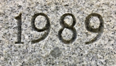 EVO ŠTA OTKRIVA POSLEDNJI BROJ GODINE ROĐENJA Ljudi sa devetkom na kraju su u velikom problemu