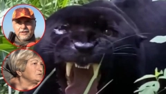 ALO! NA TRAGU DIVLJEG PANTERA Lovac Ilija: Niko ne poznaje tu šumu bolje od nas! (FOTO/VIDEO)