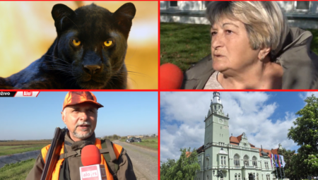 "ŠETAO SE POLAKO, USPORENO" Ekipa Alo! u potrazi za panterom: Dobrom akcijom može da se locira (VIDEO)
