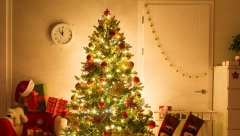 NIJE SVEJEDNO Evo gde da stavite jelku ako želite da privučete sreću i izobilje