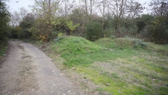 PANTER VIĐEN U FEKETIĆU? Novi snimak zveri kruži internetom, snimio ga sa traktora kako trči preko njive