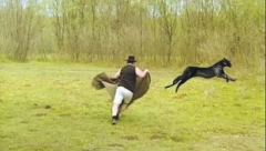 KO TO TAMO LOVI PANTERA?! Potraga stala, humor se širi