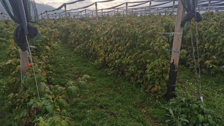 DNEVNICA 6.000 DINARA! Ko voli - nek izvoli, evo kada kreće sezona