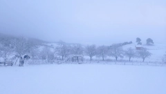 ZABELELE SE SRPSKE PLANINE Ovde je sneg padao čitavu noć! (FOTO)