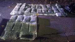 POJELI 500 KILOGRAMA MARIHUANE! "Oni su malo i ne boje se policije!"