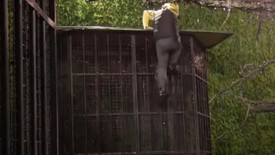 PLAŠI SE POLIGRAFA Bebica u epizodi "Bekstvo iz Zadruge", Macanović rešio da napusti Zadrugu i izbegne istinu (VIDEO)