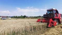 HEKTAR NJIVE U SRBIJI KAO VILA NA DEDINJU: Ova oranica oborila je rekord
