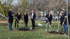 AKCIJA SADNjE DRVEĆA NA SAVSKOM VENCU Predsednik Vidović: Pošumljavanje važno za zaštitu životne sredine i čistiji vazduh na našoj opštini