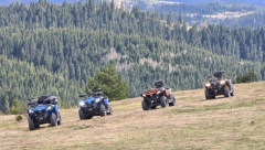 Privatni biznis cveta na Zlataru, sve što se ponudi to se i proda turistima