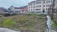 Leglo zmija velika opasnost za đake