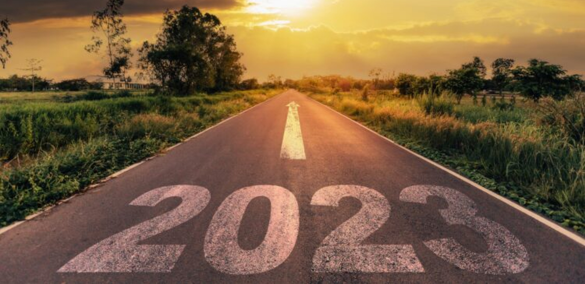 ŠTA NAS ČEKA U GODINI VODENOG ZECA Kinezi otkrivaju kako da privučete sreću i novac