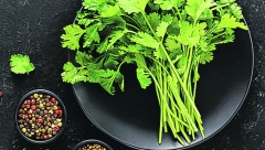 Lekovito bilje: Kako nana, bosiljak i peršun deluju na organizam