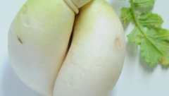 PO RECEPTU ČUVENOG TRAVARA VASE PELAGIĆA Ovo je najbolji lek za suvi kašalj, a kupuje se na pijaci