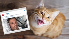 LEKARI SU BILI BESPOMOĆNI Nakon što ga je ujela mačka, muškarac (33) preminuo u najgorim mukama