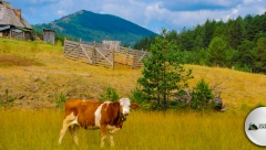 Zlatiborski Eko agrar: I nauka ih citira kao primer dobre prakse