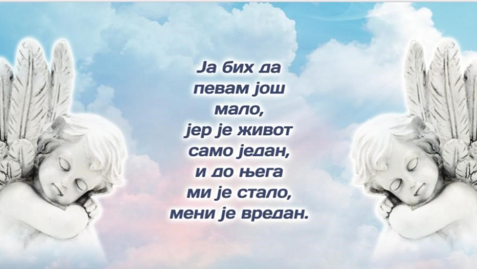 Bojana Milićević i Fondacija za srpski narod i državu organizuju dodelu novogodišnjih paketića