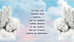 Bojana Milićević i Fondacija za srpski narod i državu organizuju dodelu novogodišnjih paketića