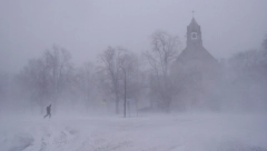 MOGLI IZ MIČIGENA Osmogodišnjak se izgubio u šumi, kada su ga pronašli posle dva dana ostali su u šoku!