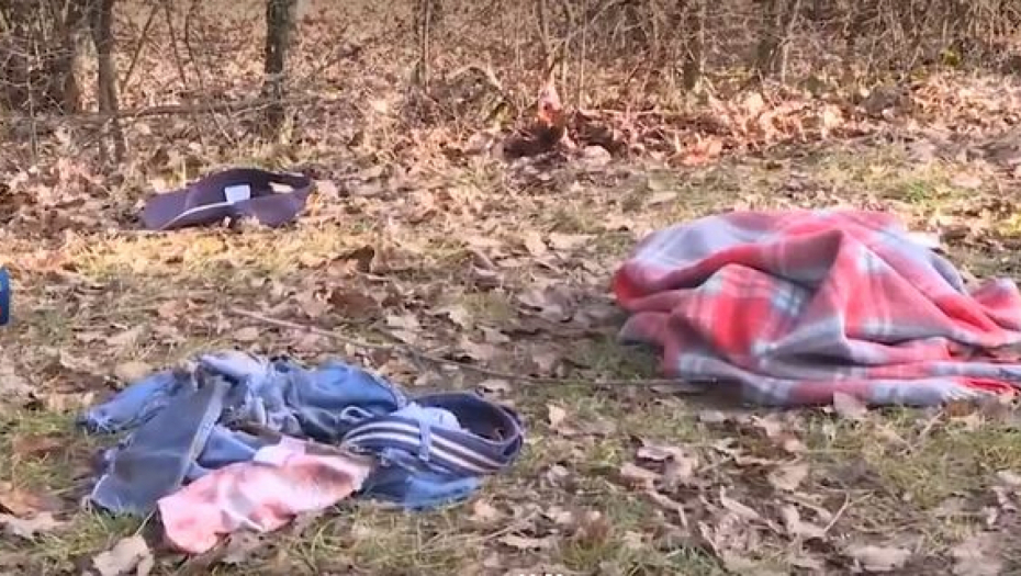 KO JE VLASNIK PASA KOJI SU RASKIDALI VLADANA Na robiji je zbog droge, a evo ko se za to vreme brinuo o njegovim ljubimcima!