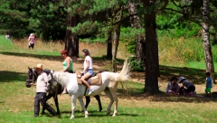 ŠOK OGLAS! PLAC U SRCU SRBIJE PO NEVEROVATNOJ CENI! Prodaje zemlju na 15 minuta od Divčibara, ponuda iznenadila sve! (FOTO)
