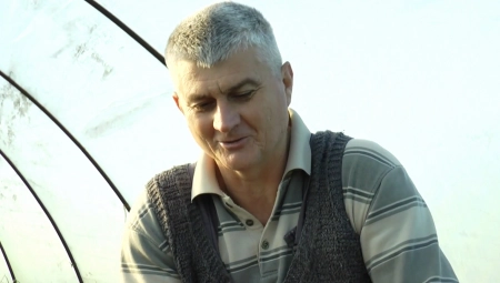 NE SAMO DA LEČI RAZNE BOLJKE, VEĆ JE I ZARADA ODLIČNA! Ovo povrće je poslednjih godina "zlata vredno" (FOTO)