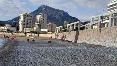 "JEL OVO DOŠLO IZ PANČEVA?" Otrovni crvi preplavili plažu u Budvi: Ne dodirujte ih! (FOTO)