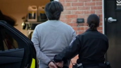 STAVLJENE LISICE MUŽU ANE VOLŠ! Pogledajte snimak hapšenja (VIDEO)